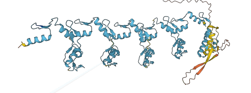 ZNF573 3D structure
