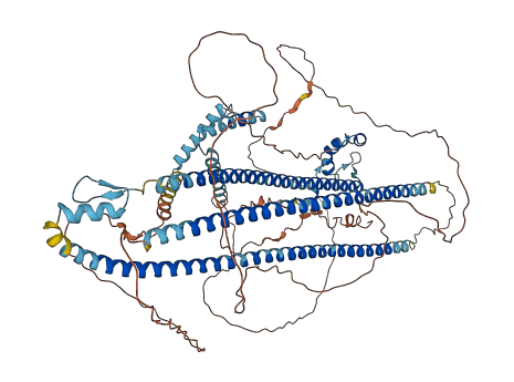 DZIP1 3D structure