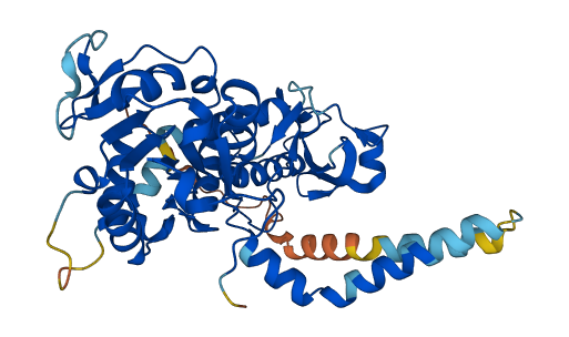 NT5DC4 3D structure