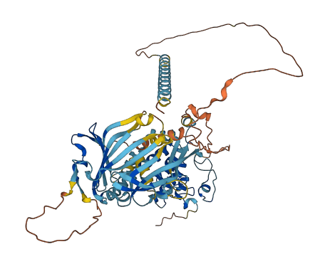 ANKRD13B 3D structure