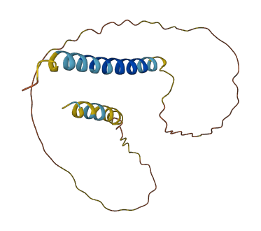 PDPN 3D structure