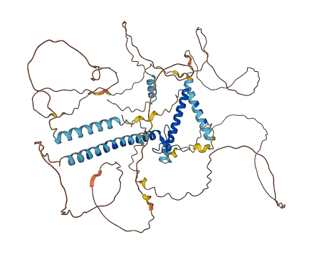 GATAD2A 3D structure