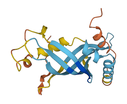 BPIFA4P 3D structure