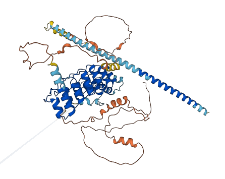 POTED 3D structure
