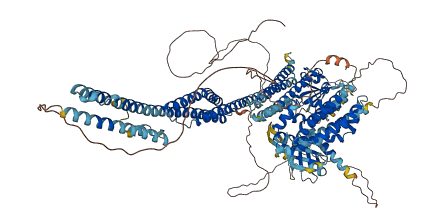 MCF2L2 3D structure