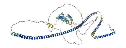 RAB11FIP4 3D structure