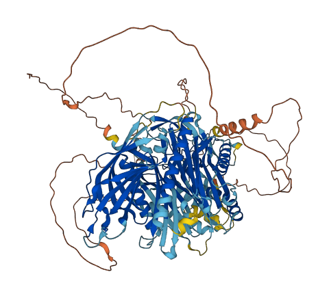 C2CD5 3D structure