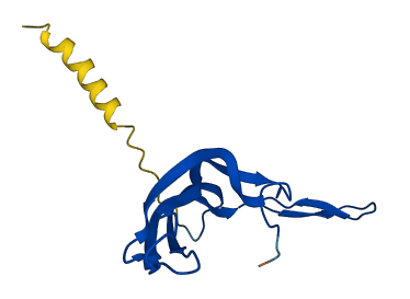 GPHB5 3D structure
