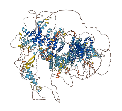 MED12L 3D structure