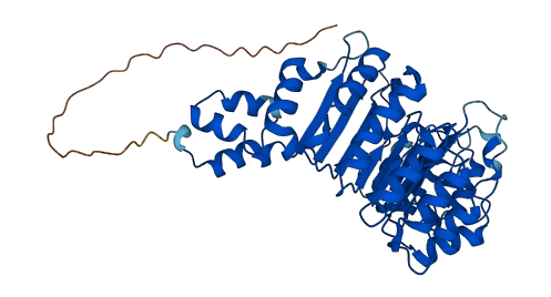 Fbxl21 3D structure