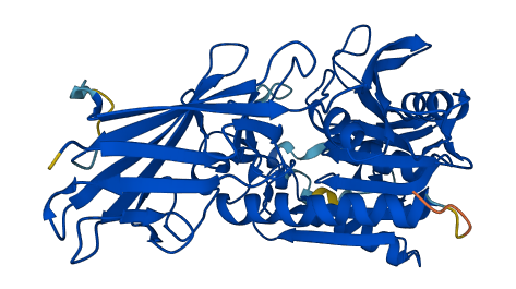 Acnat2 3D structure