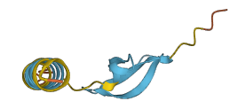 Defb29 3D structure