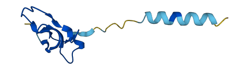 Wfdc15a 3D structure