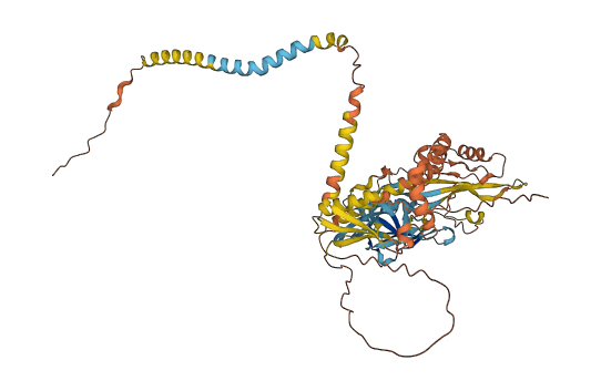 Synb 3D structure