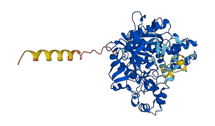 Ces2e 3D structure