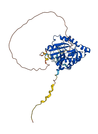 Mettl2 3D structure