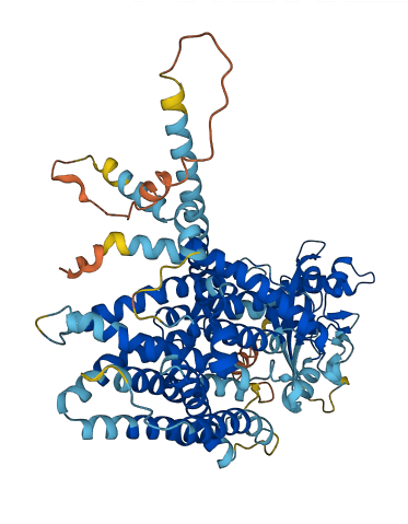 Oacyl 3D structure