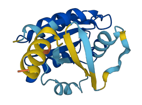 Arf2 3D structure