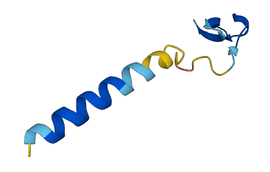 Wfdc21 3D structure
