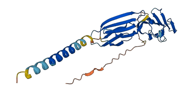 Cd200r5 3D structure