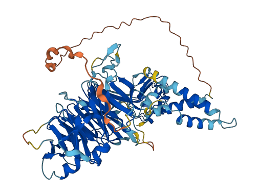 LRWD1 3D structure