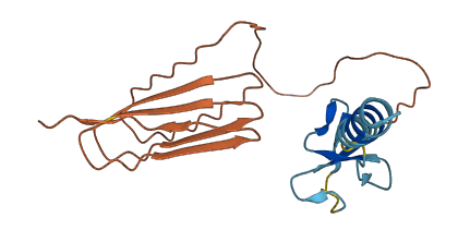 Defb22 3D structure