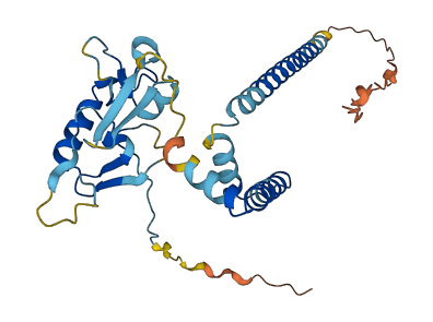 Phf11a 3D structure