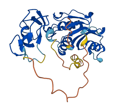 Slx1b 3D structure