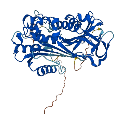 Serpina3b 3D structure