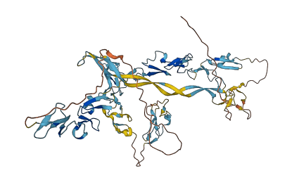 Egfem1 3D structure