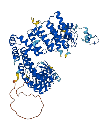 Fem1ab 3D structure