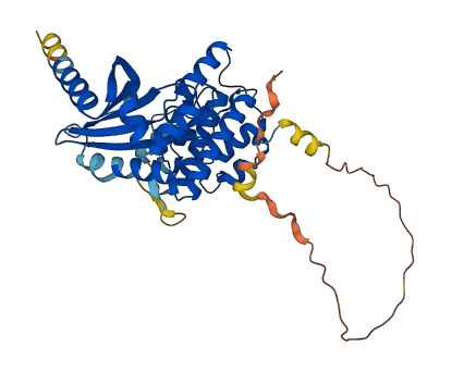 Tssk5 3D structure