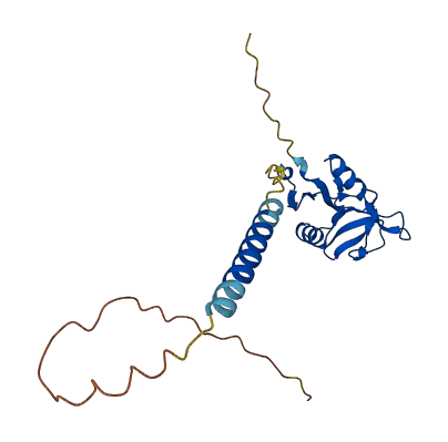 Clec2h 3D structure