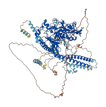 Morc2b 3D structure