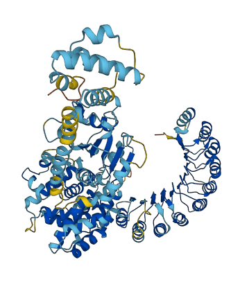 Nlrp4b 3D structure