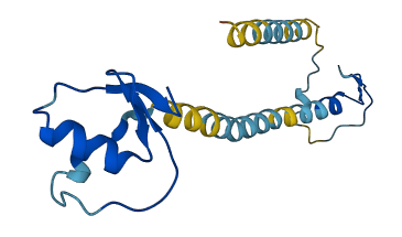 Spink10 3D structure