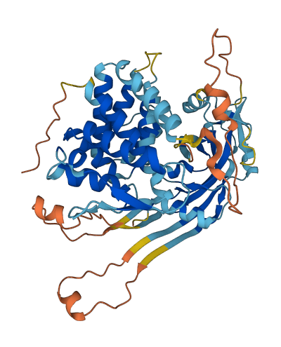 Gsdmc3 3D structure