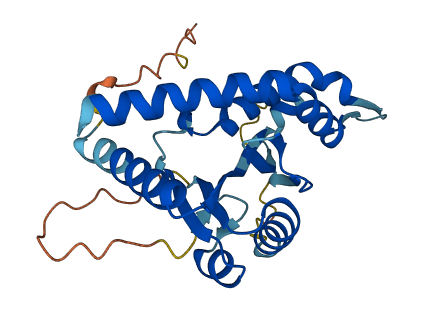 Fam243 3D structure