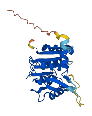 Mettl21e 3D structure