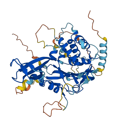 Usp27 3D structure