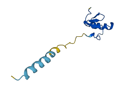 Spinkl 3D structure