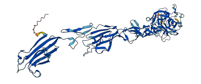 C1sb 3D structure