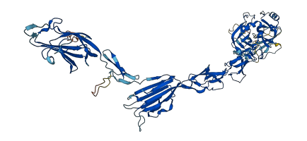 C1rb 3D structure