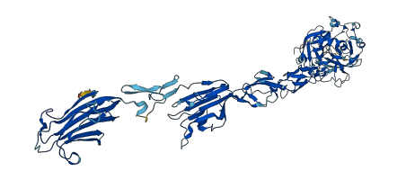 C1sa 3D structure