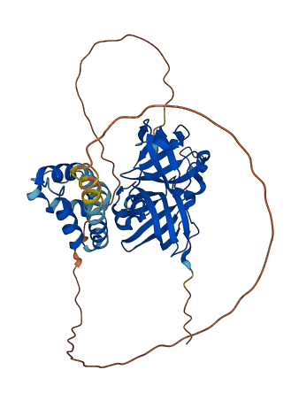 Ifi205a 3D structure