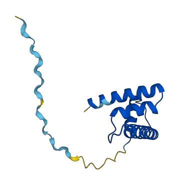 Hist1h2bp 3D structure