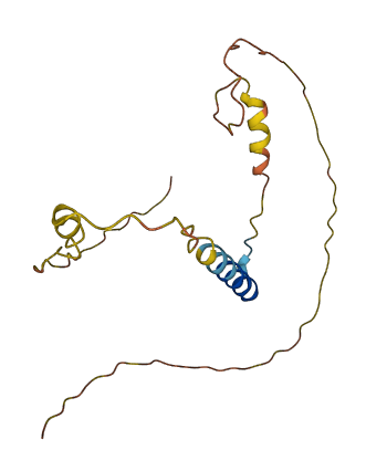 Cypt1 3D structure