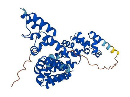 Mterf1a 3D structure