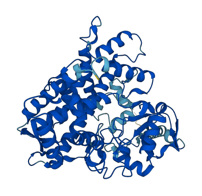 Cyp2d26 3D structure