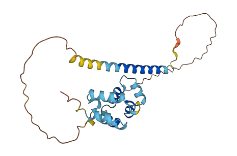 Nradd 3D structure